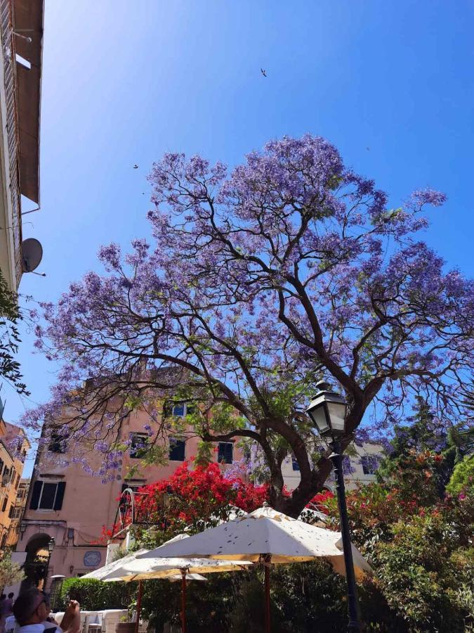 Jacaranda Corfu Old Town Apt מראה חיצוני תמונה